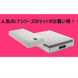 フランスベッド静岡流通センター倉庫「閉館」展示品一掃処分セール