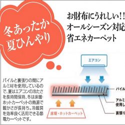 年に一度の 世界の絨毯バザール