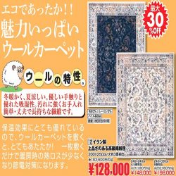 年に一度の 世界の絨毯バザール