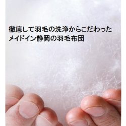 祝令和元年 フランスベッド静岡工場特別招待セール