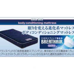 フランスベッド静岡工場クリアランスセール