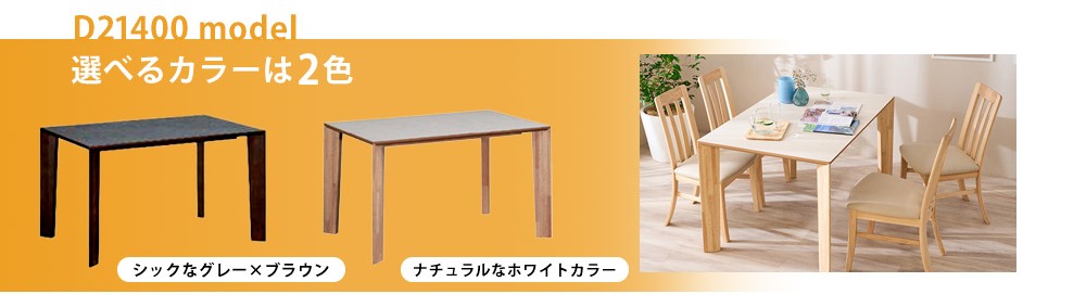 ソリシアD21400モデル