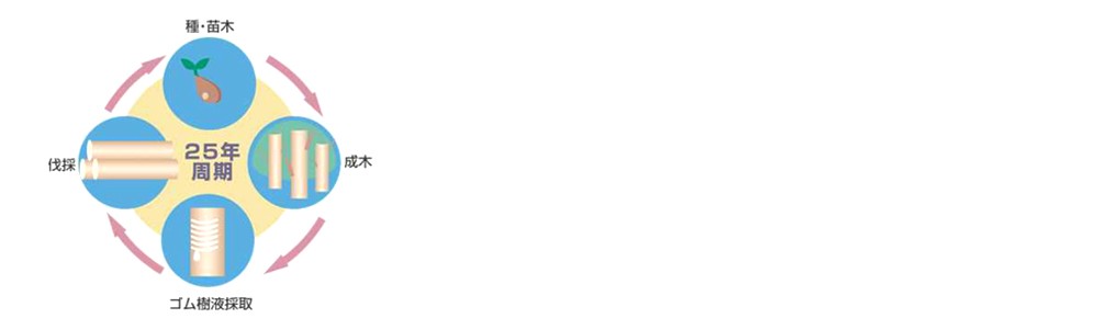 25年周期『ラバートリー』