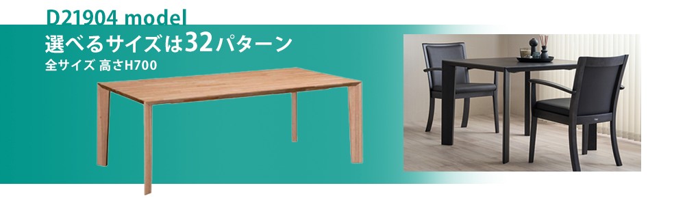 ソリシアD21904モデル