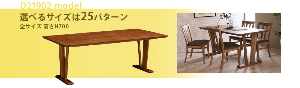 ソリシアD21902モデル