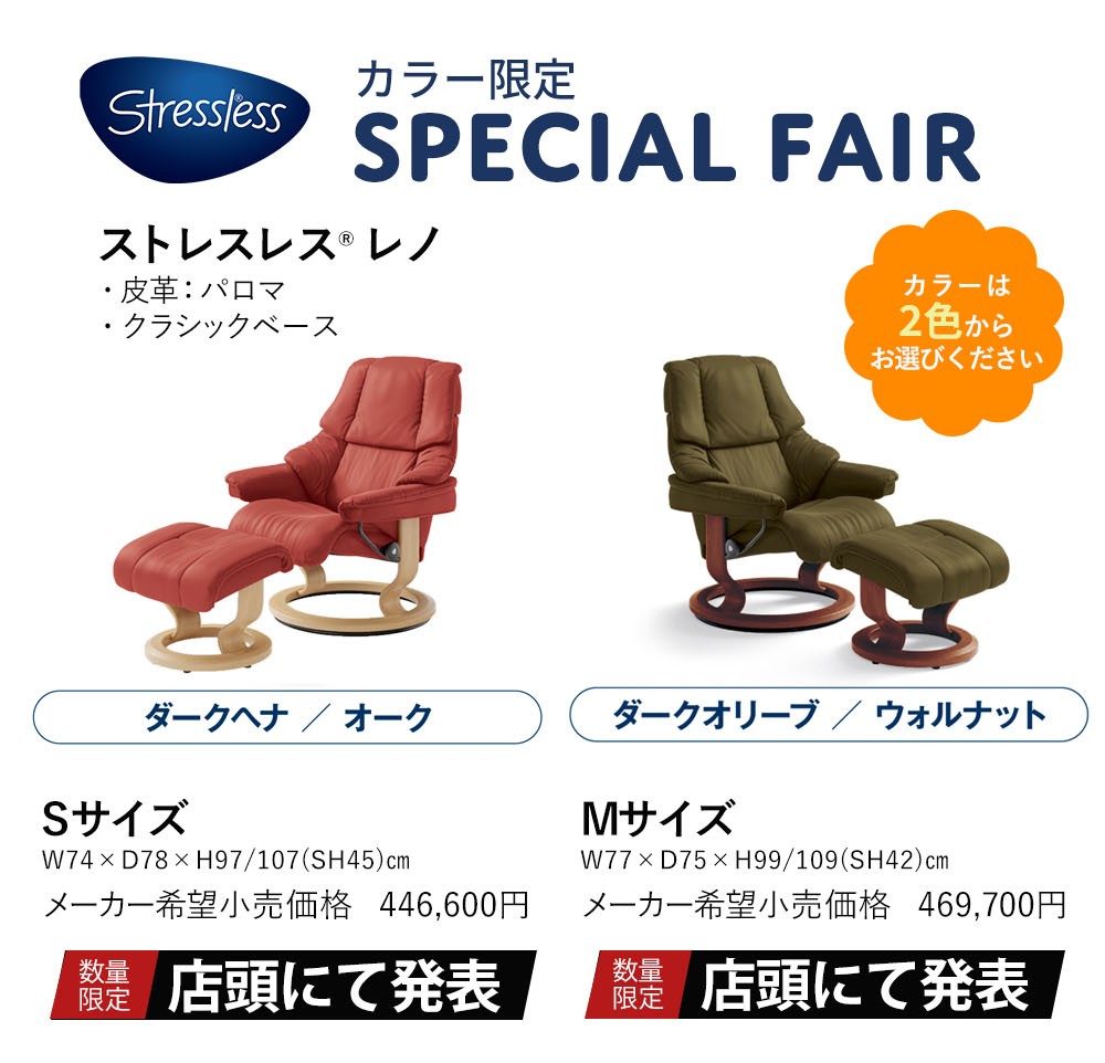 カラー限定！レノが特別価格