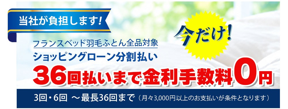 フランスベッド羽毛布団キャンペーン